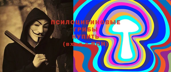 индика Беломорск