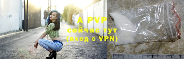 индика Беломорск