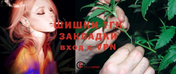 индика Беломорск