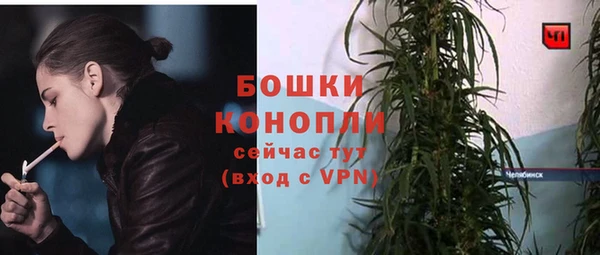 метадон Белокуриха