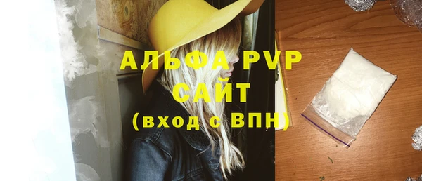 индика Беломорск