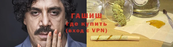 индика Беломорск