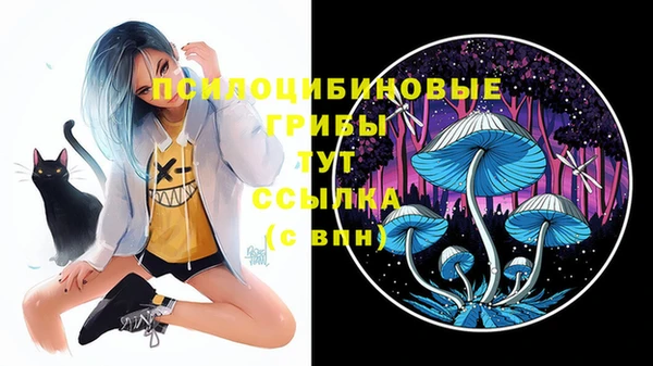 индика Беломорск