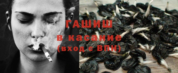 индика Беломорск