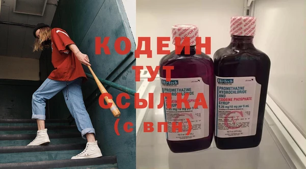 индика Беломорск