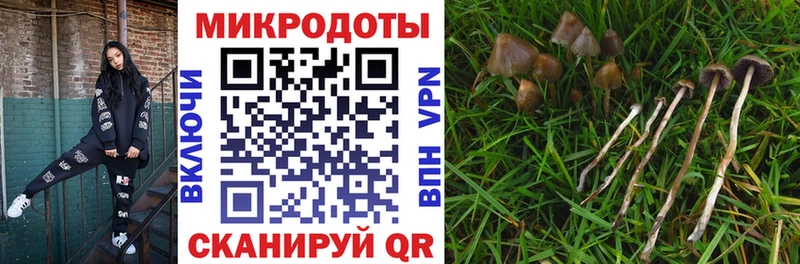 Галлюциногенные грибы ЛСД  Купить где  Грайворон 