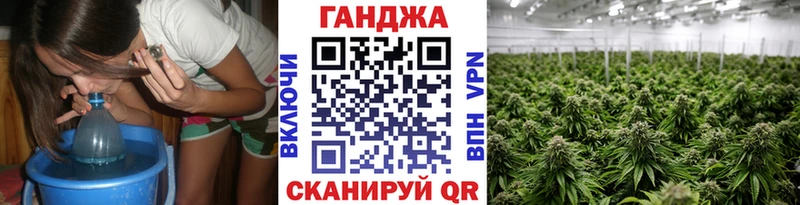 Купить закладки  Грайворон  Бошки марихуана планчик 